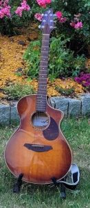 Gitarre